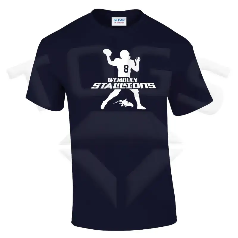 field general GILDAN GD024 GD24 GD15 GD015 MIDWEIGHT SOFTYLE TEE AMERICAN FOOTBALL PLAYER DESIGN London wembley stallions afc respect all fear none