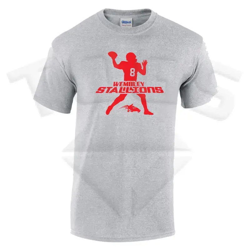 field general GILDAN GD024 GD24 GD15 GD015 MIDWEIGHT SOFTYLE TEE AMERICAN FOOTBALL PLAYER DESIGN London wembley stallions afc respect all fear none