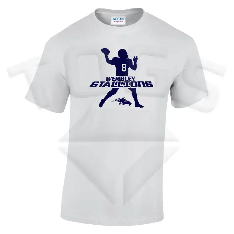 field general GILDAN GD024 GD24 GD15 GD015 MIDWEIGHT SOFTYLE TEE AMERICAN FOOTBALL PLAYER DESIGN London wembley stallions afc respect all fear none