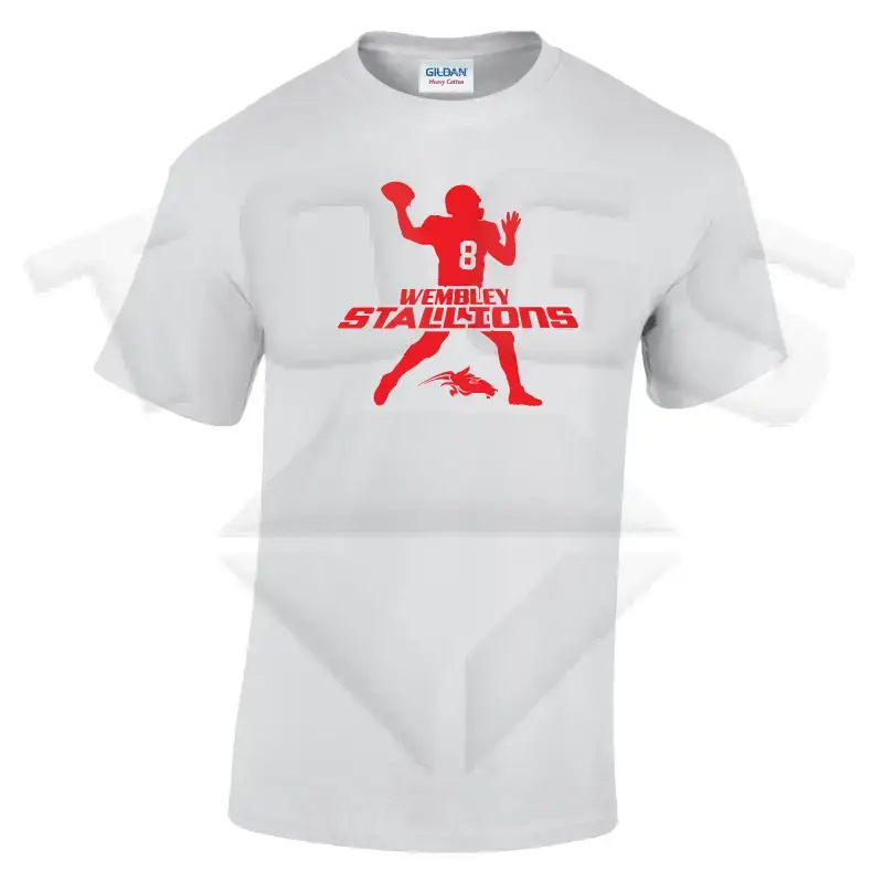 field general GILDAN GD024 GD24 GD15 GD015 MIDWEIGHT SOFTYLE TEE AMERICAN FOOTBALL PLAYER DESIGN London wembley stallions afc respect all fear none