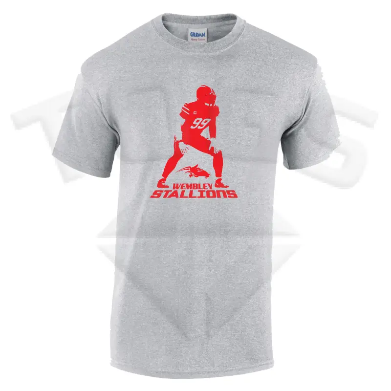lockdown GILDAN GD024 GD24 GD15 GD015 MIDWEIGHT SOFTYLE TEE AMERICAN FOOTBALL PLAYER DESIGN London wembley stallions afc respect all fear none
