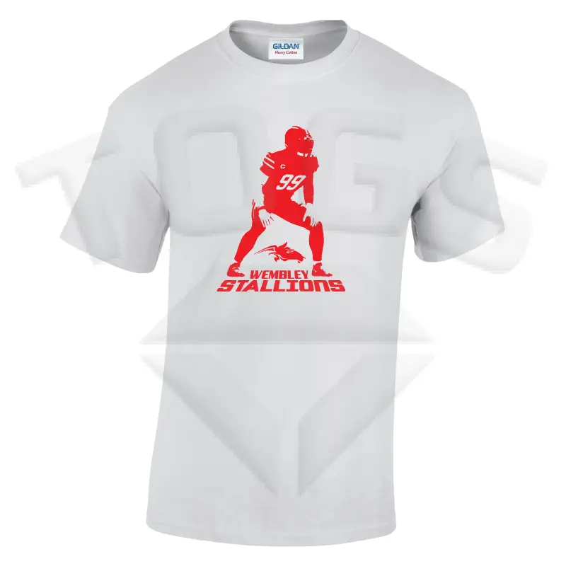 lockdown GILDAN GD024 GD24 GD15 GD015 MIDWEIGHT SOFTYLE TEE AMERICAN FOOTBALL PLAYER DESIGN London wembley stallions afc respect all fear none