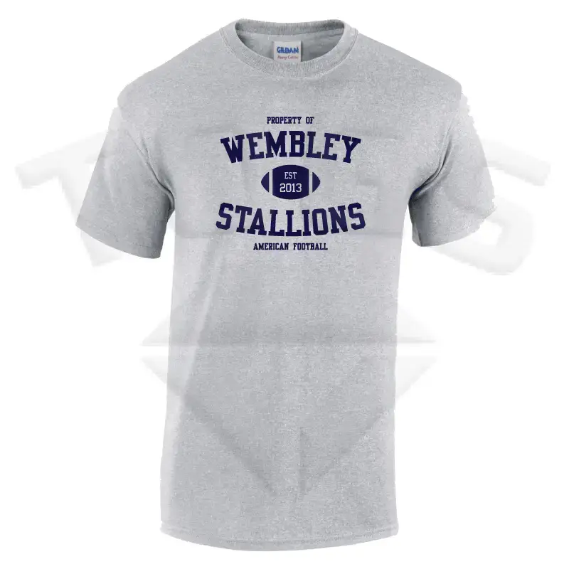 property of GILDAN GD024 GD24 GD15 GD015 MIDWEIGHT SOFTYLE TEE AMERICAN FOOTBALL PLAYER DESIGN London wembley stallions afc respect all fear none