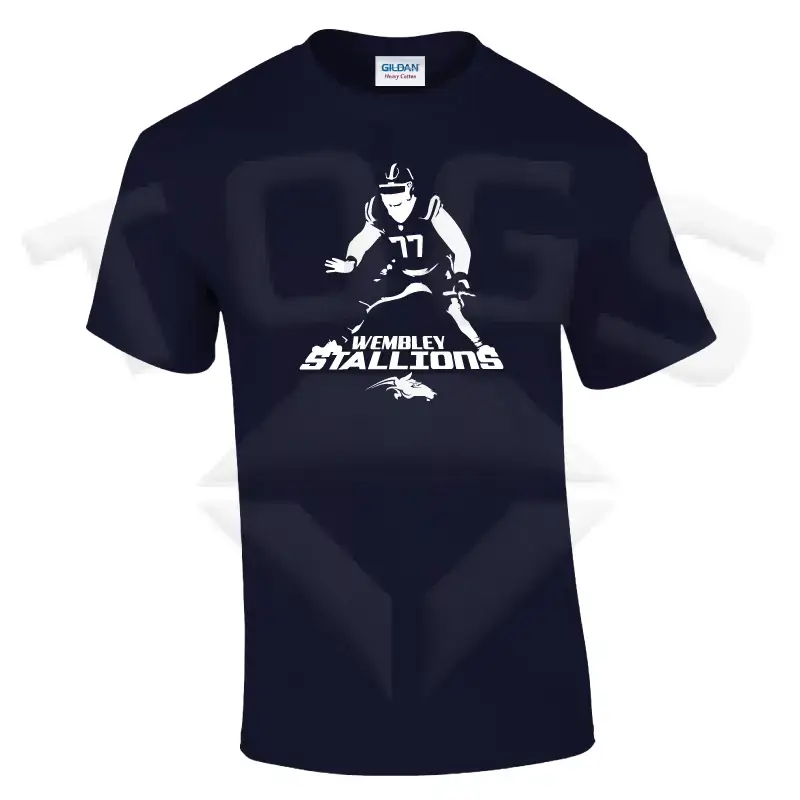 steel GILDAN GD024 GD24 GD15 GD015 MIDWEIGHT SOFTYLE TEE AMERICAN FOOTBALL PLAYER DESIGN London wembley stallions afc respect all fear none