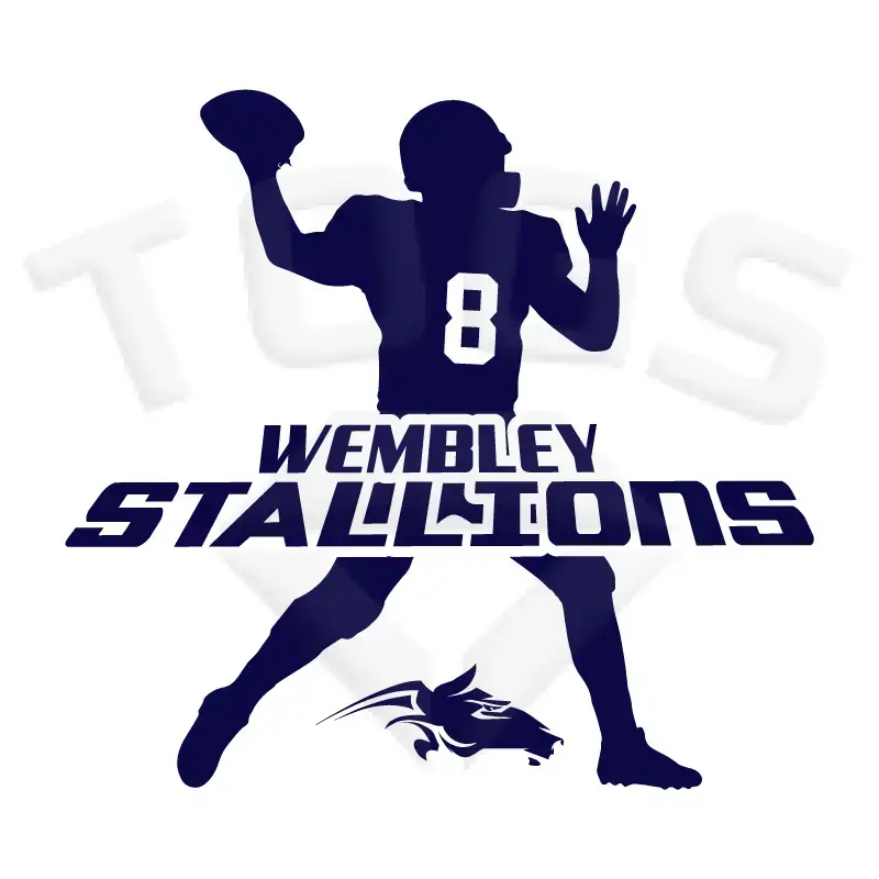 field general GILDAN GD024 GD24 GD15 GD015 MIDWEIGHT SOFTYLE TEE AMERICAN FOOTBALL PLAYER DESIGN London wembley stallions afc respect all fear none