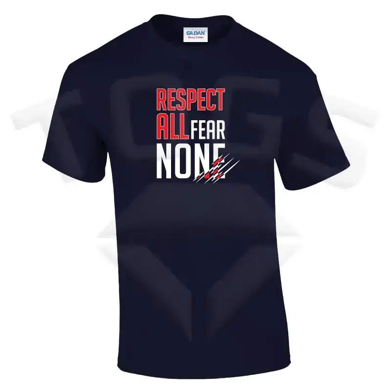 property of GILDAN GD024 GD24 GD15 GD015 MIDWEIGHT SOFTYLE TEE AMERICAN FOOTBALL PLAYER DESIGN London wembley stallions afc respect all fear none