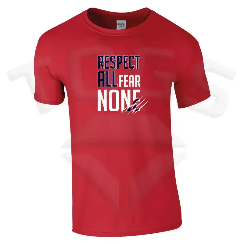 property of GILDAN GD024 GD24 GD15 GD015 MIDWEIGHT SOFTYLE TEE AMERICAN FOOTBALL PLAYER DESIGN London wembley stallions afc respect all fear none