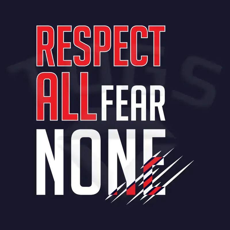 property of GILDAN GD024 GD24 GD15 GD015 MIDWEIGHT SOFTYLE TEE AMERICAN FOOTBALL PLAYER DESIGN London wembley stallions afc respect all fear none