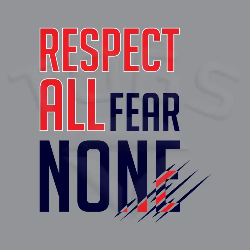 property of GILDAN GD024 GD24 GD15 GD015 MIDWEIGHT SOFTYLE TEE AMERICAN FOOTBALL PLAYER DESIGN London wembley stallions afc respect all fear none