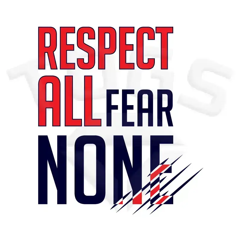 property of GILDAN GD024 GD24 GD15 GD015 MIDWEIGHT SOFTYLE TEE AMERICAN FOOTBALL PLAYER DESIGN London wembley stallions afc respect all fear none