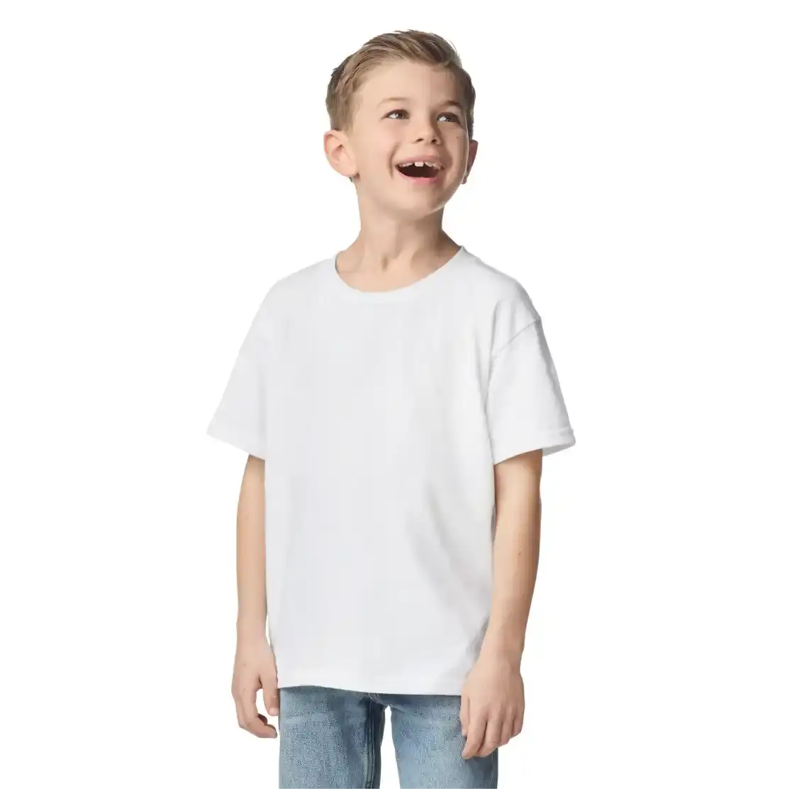 ralawise pencarrie gildan gd024 gd24 gd15 gd015 gd092 gd026 gd01b gd001b gd15b midweight softstyle t-shirt tee shirt